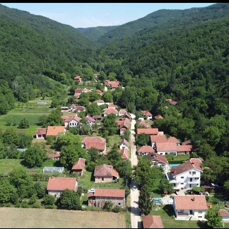 Appartamento Domacinstvo Trifunovic Pretresnja Esterno foto