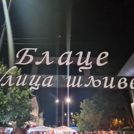 Appartamento Domacinstvo Trifunovic Pretresnja Esterno foto