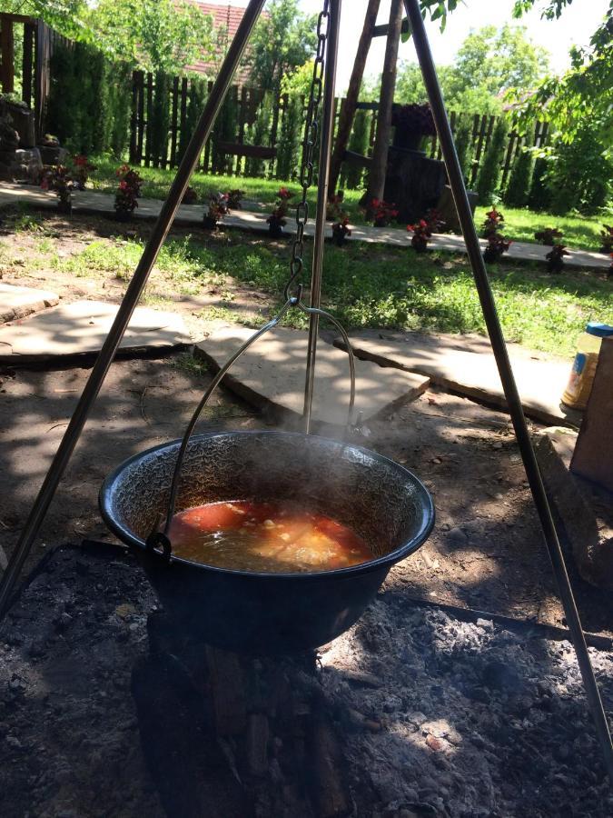 Appartamento Domacinstvo Trifunovic Pretresnja Esterno foto