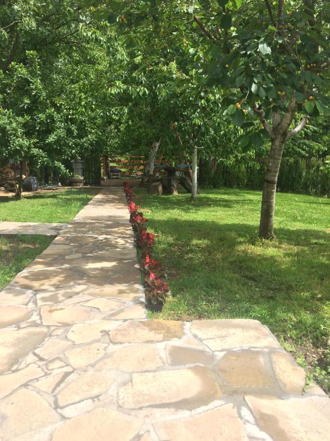 Appartamento Domacinstvo Trifunovic Pretresnja Esterno foto