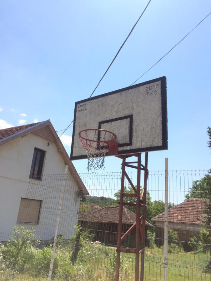 Appartamento Domacinstvo Trifunovic Pretresnja Esterno foto