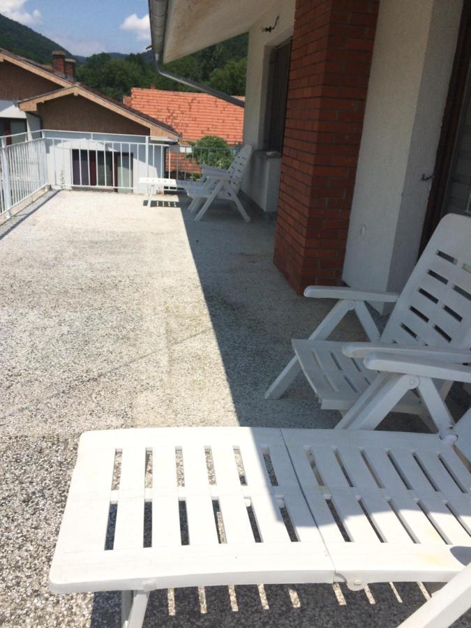 Appartamento Domacinstvo Trifunovic Pretresnja Esterno foto