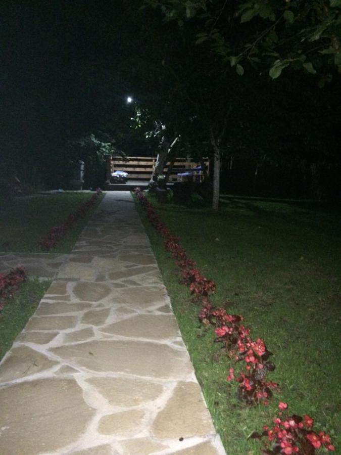 Appartamento Domacinstvo Trifunovic Pretresnja Esterno foto