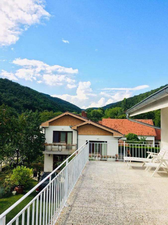 Appartamento Domacinstvo Trifunovic Pretresnja Esterno foto