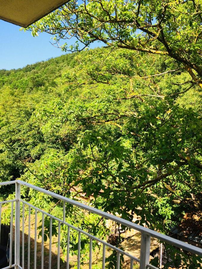 Appartamento Domacinstvo Trifunovic Pretresnja Esterno foto