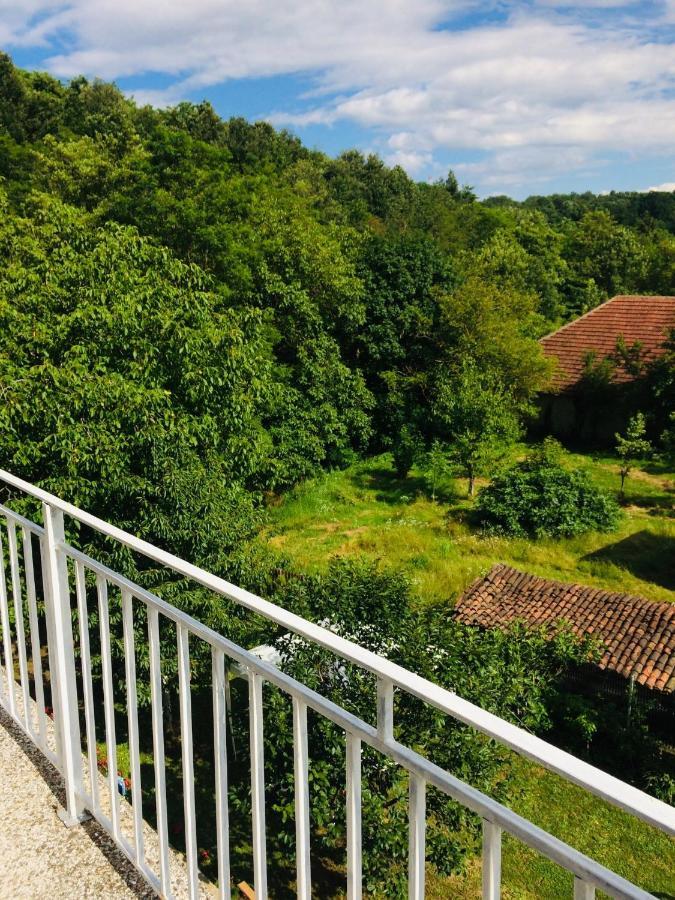 Appartamento Domacinstvo Trifunovic Pretresnja Esterno foto