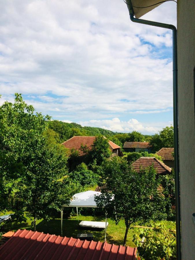 Appartamento Domacinstvo Trifunovic Pretresnja Esterno foto