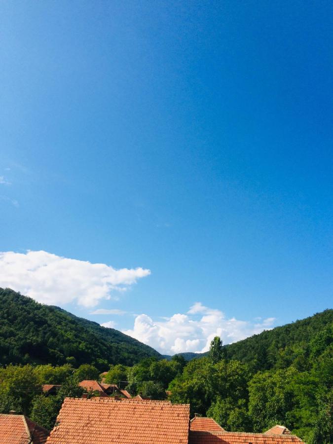 Appartamento Domacinstvo Trifunovic Pretresnja Esterno foto