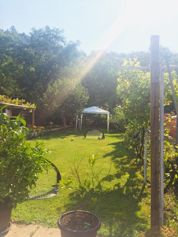 Appartamento Domacinstvo Trifunovic Pretresnja Esterno foto