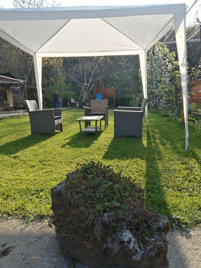 Appartamento Domacinstvo Trifunovic Pretresnja Esterno foto
