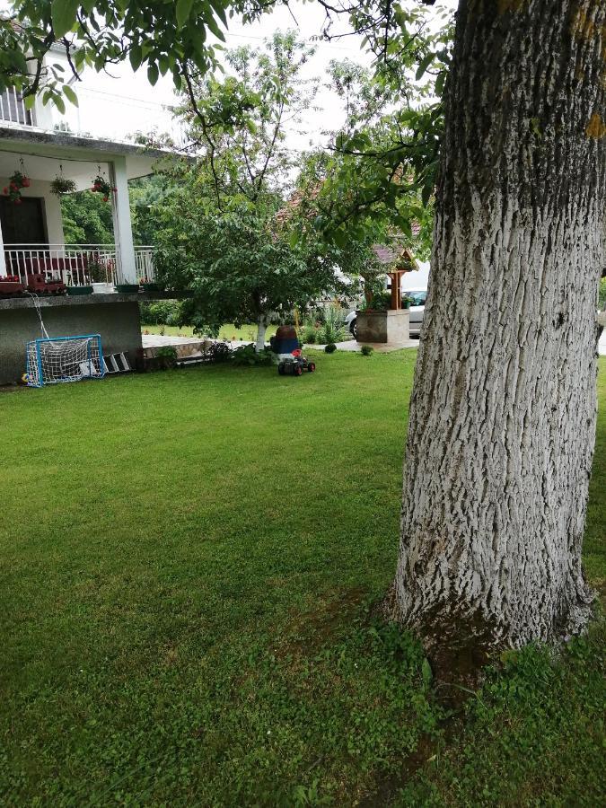 Appartamento Domacinstvo Trifunovic Pretresnja Esterno foto