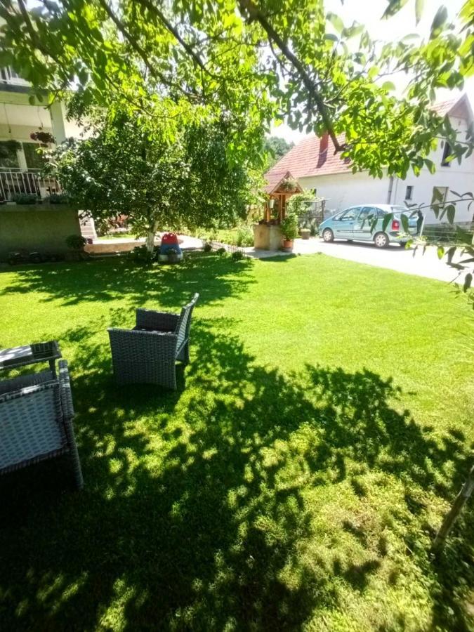Appartamento Domacinstvo Trifunovic Pretresnja Esterno foto