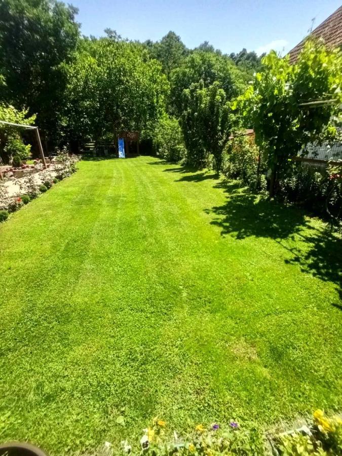 Appartamento Domacinstvo Trifunovic Pretresnja Esterno foto