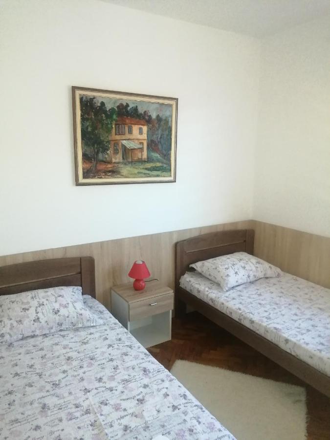 Appartamento Domacinstvo Trifunovic Pretresnja Esterno foto