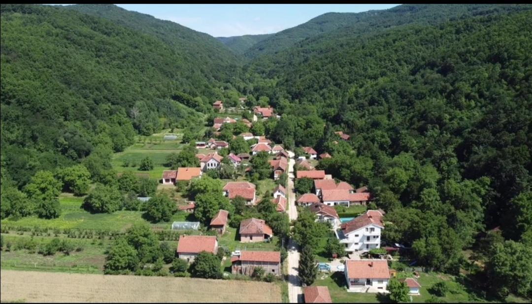 Appartamento Domacinstvo Trifunovic Pretresnja Esterno foto