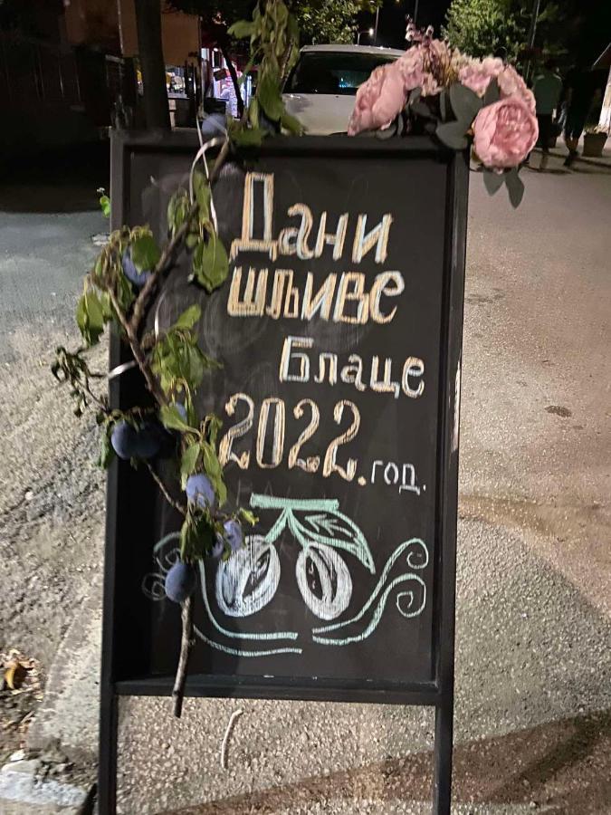 Appartamento Domacinstvo Trifunovic Pretresnja Esterno foto